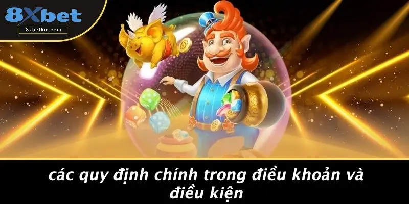 Các Quy Định Chính Trong Điều Khoản Và Điều Kiện