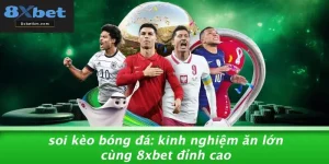 SOI KÈO BÓNG ĐÁ: KINH NGHIỆM ĂN LỚN CÙNG 8XBET ĐỈNH CAO